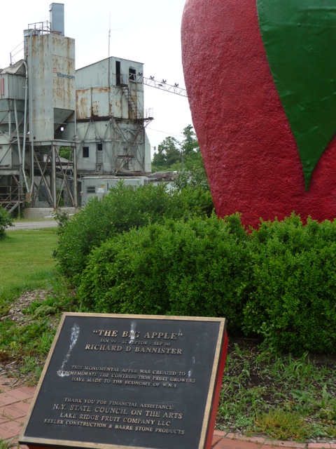 20110613-042441.jpg