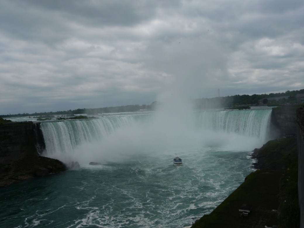 20110613-120019.jpg