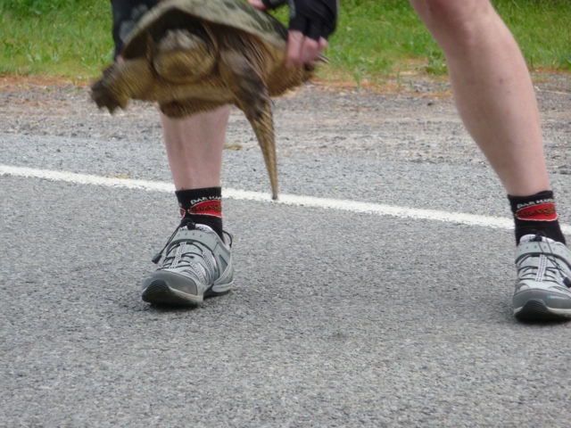 20110613-203903.jpg