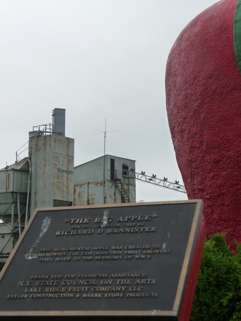 20110614-175903.jpg