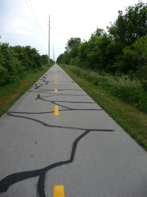 20110618-224128.jpg