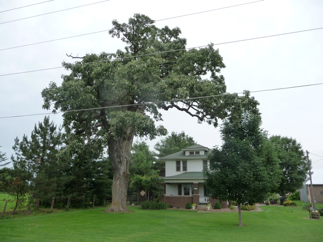 20110625-162708.jpg