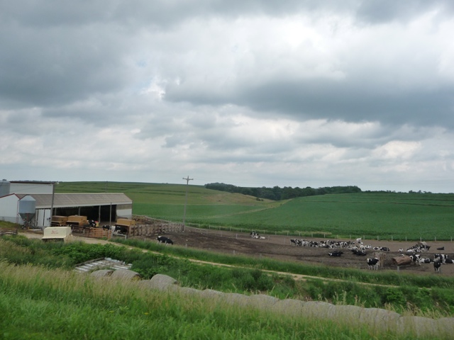 20110628-150055.jpg