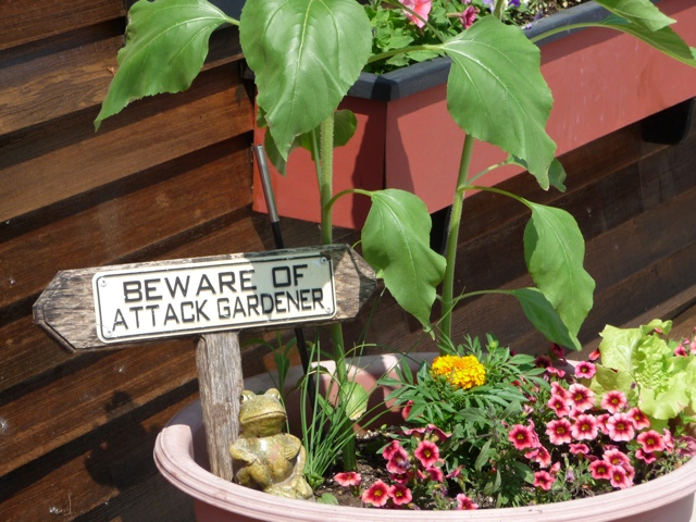20110701-092446.jpg