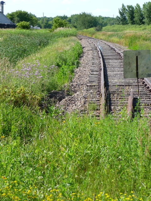20110702-205357.jpg