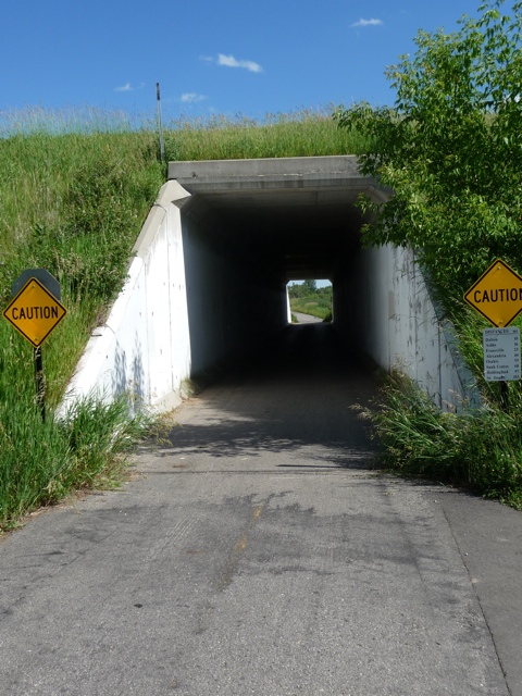 20110702-205416.jpg