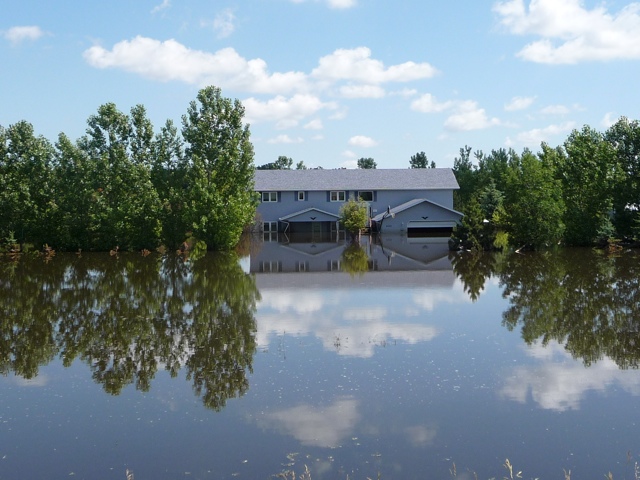 20110707-211006.jpg
