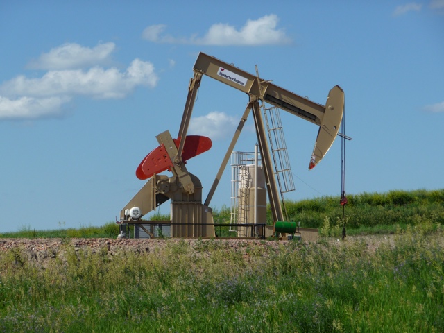 20110708-173946.jpg