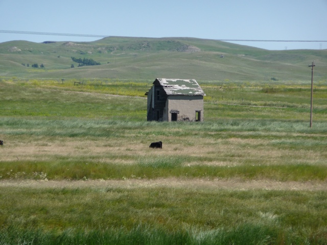 20110709-205349.jpg