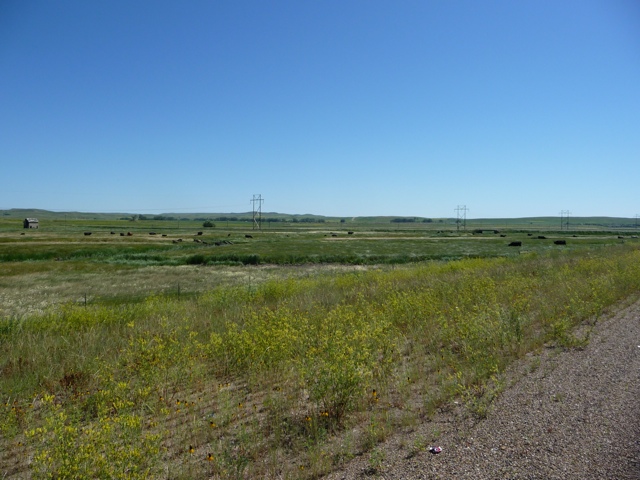 20110709-205401.jpg
