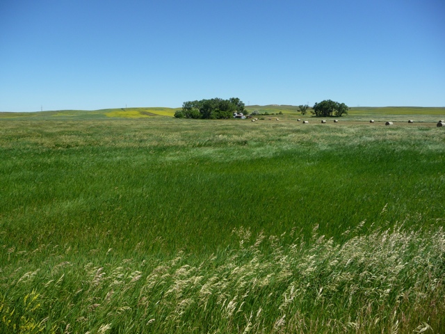20110709-205411.jpg
