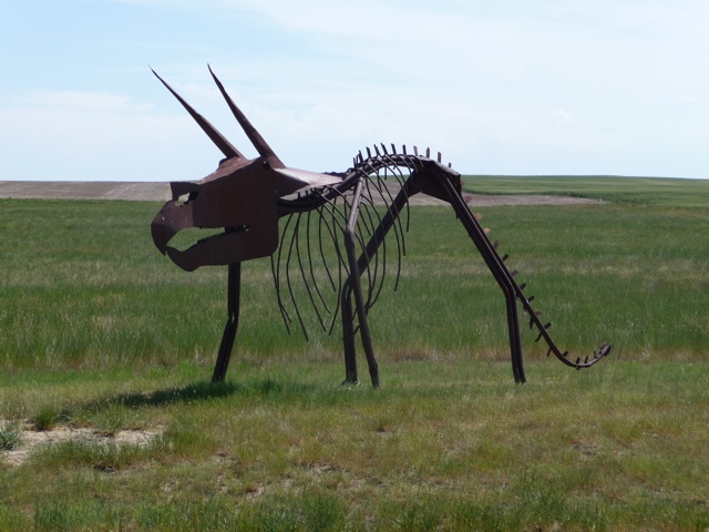 20110712-171202.jpg