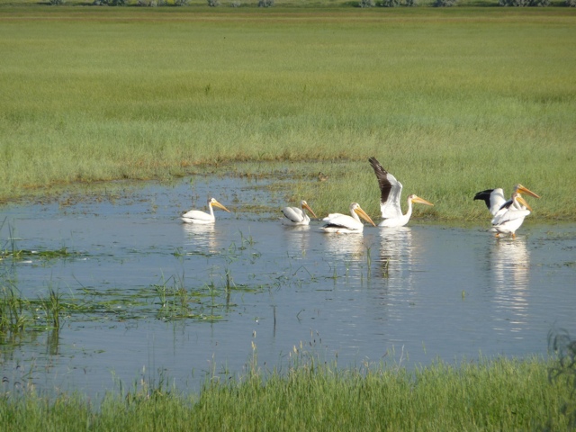 20110712-171803.jpg