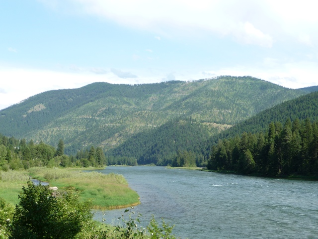 20110716-184945.jpg