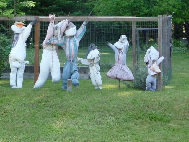 20110717-195623.jpg