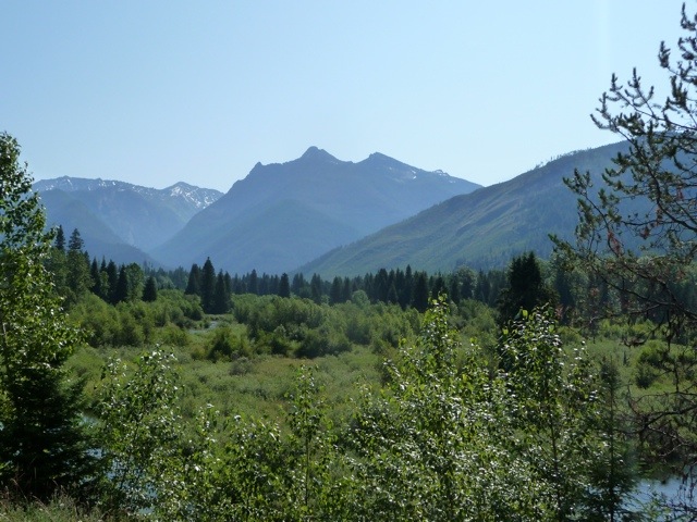 20110717-195655.jpg