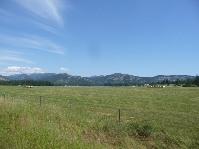 20110718-194615.jpg
