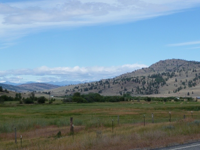 20110723-102326.jpg