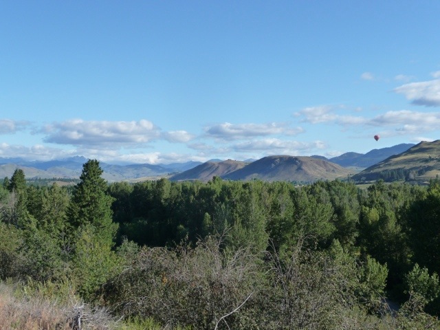20110723-102557.jpg