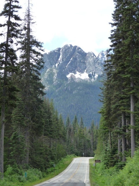 20110723-102633.jpg