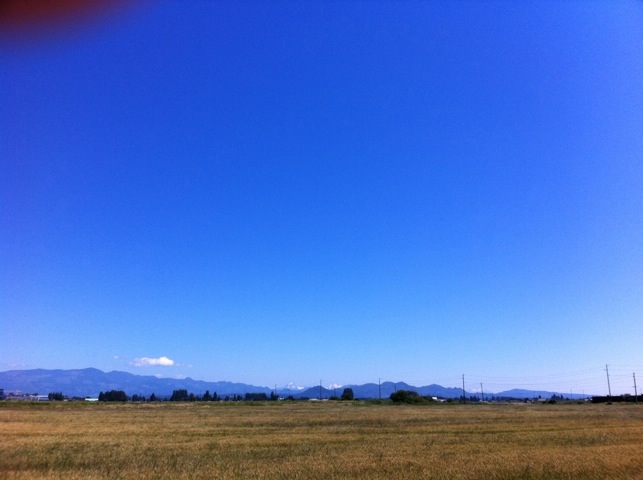 20110723-190137.jpg