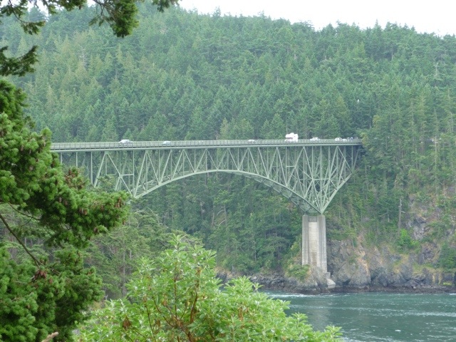 20110726-163316.jpg