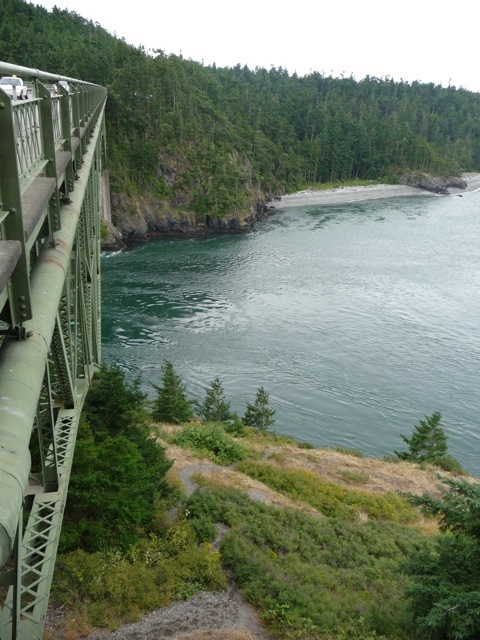 20110726-163325.jpg