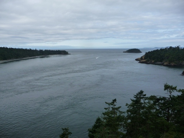 20110726-163411.jpg