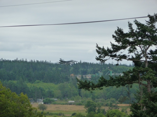 20110726-163813.jpg