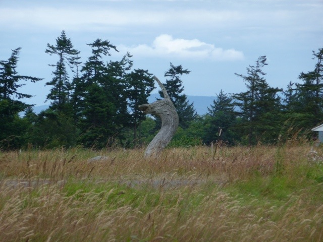 20110726-164438.jpg