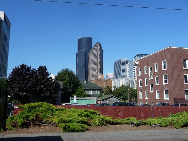 20110728-172616.jpg