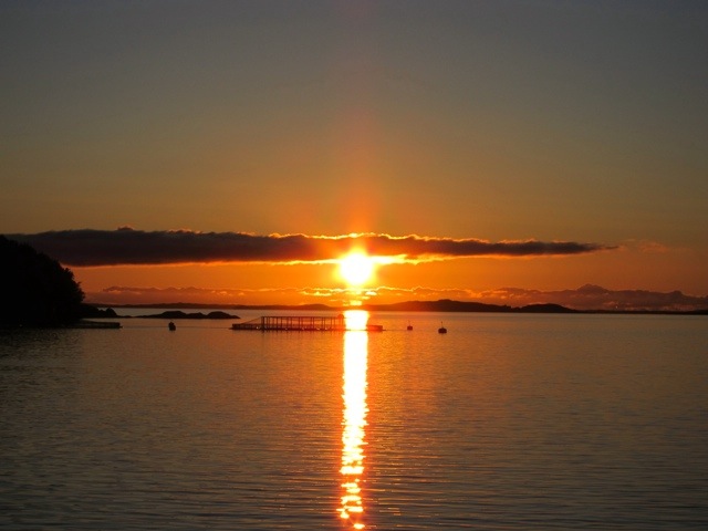 20110906-082440.jpg