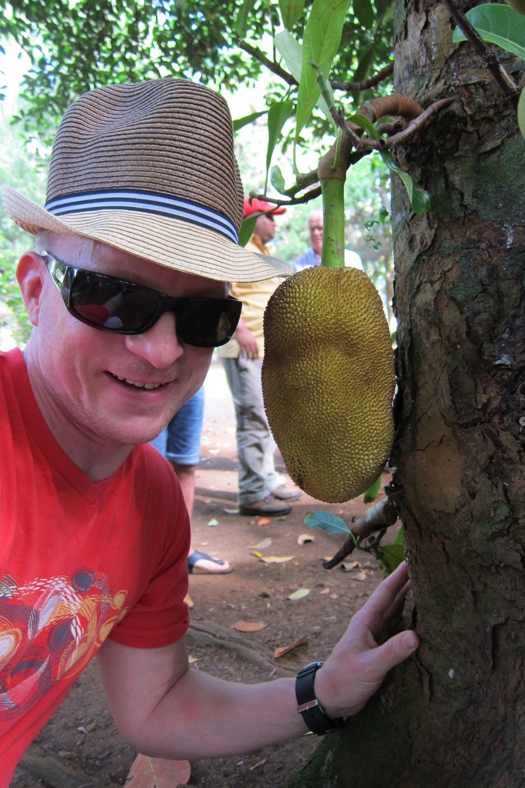 20120620-230042.jpg