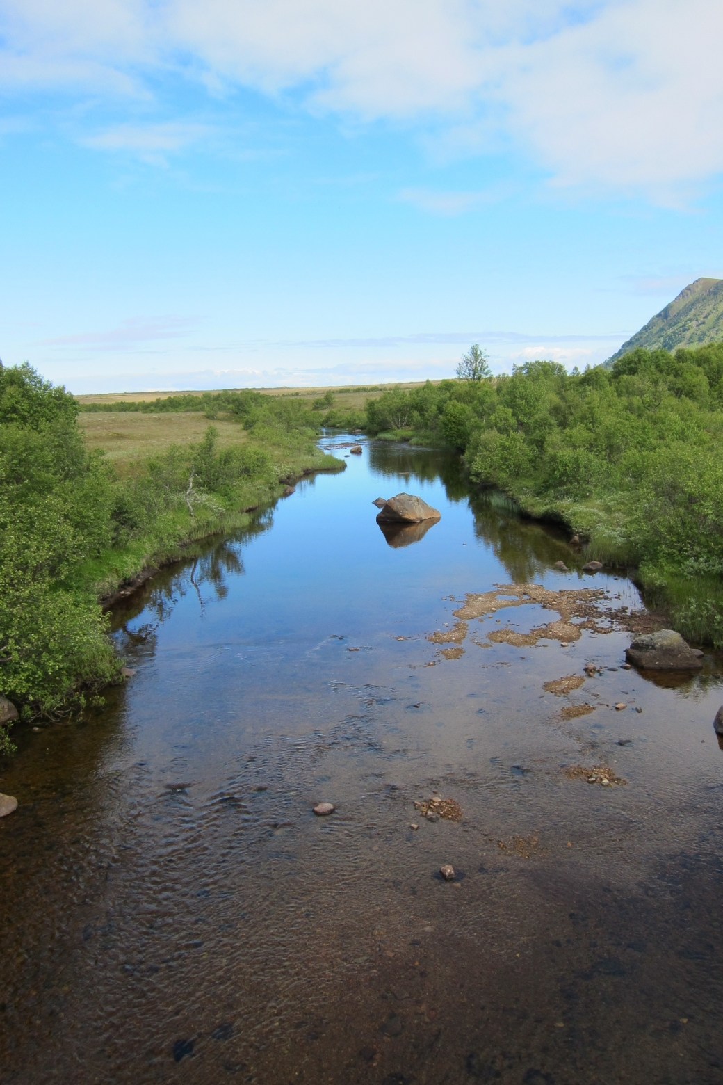 20120629-114801.jpg